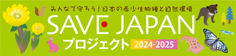 t | SAVE JAPAN vWFNg 2024-2025